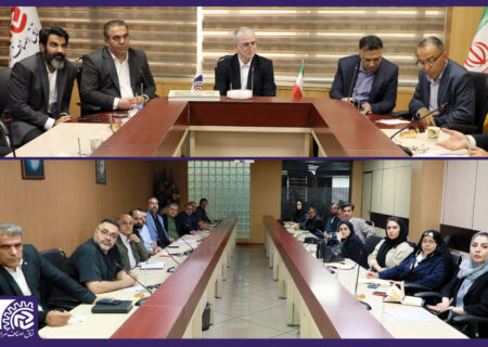 دستورالعملِ روش های محدودسازی استفاده از کیسه های نایلونی به زودی تدوین و به مرکز اصناف ابلاغ خواهد شد